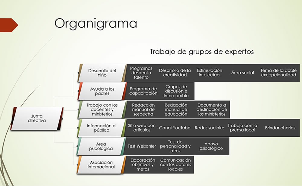 Organigrama organización internacional para niños con alto CI